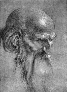 Albrecht Durer Head of an Apostle Looking Downward oil painting on canvas